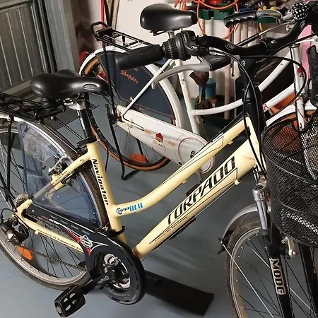 Homecoming Apartamento *