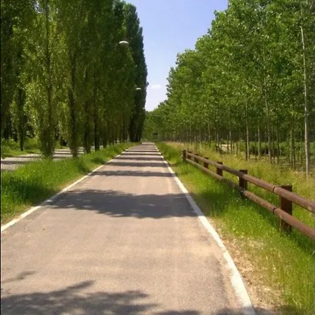 Homecoming Apartamento